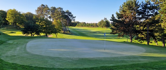 Topdressing 1